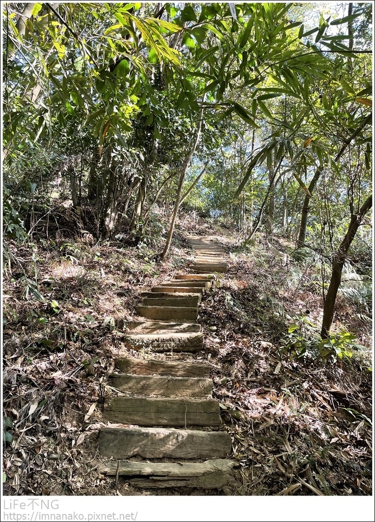 IMG_6698.JPG IMG_6698.JPG