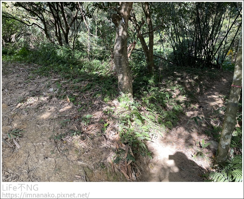 IMG_6695.JPG IMG_6695.JPG