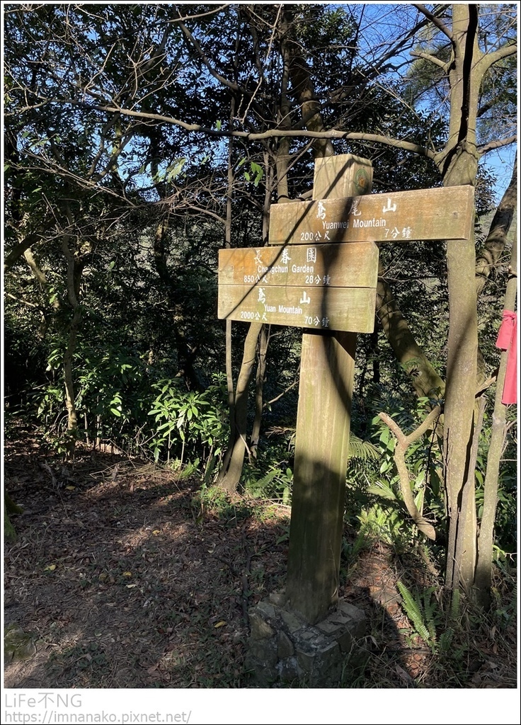 IMG_6732.JPG IMG_6732.JPG