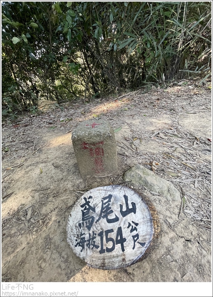 IMG_6701.JPG IMG_6701.JPG