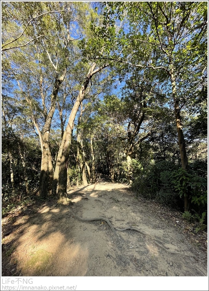 IMG_6735.JPG IMG_6735.JPG