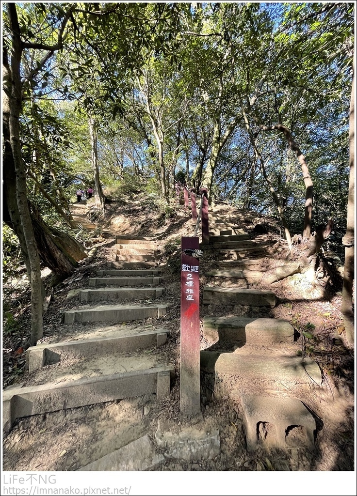 IMG_6737.JPG IMG_6737.JPG