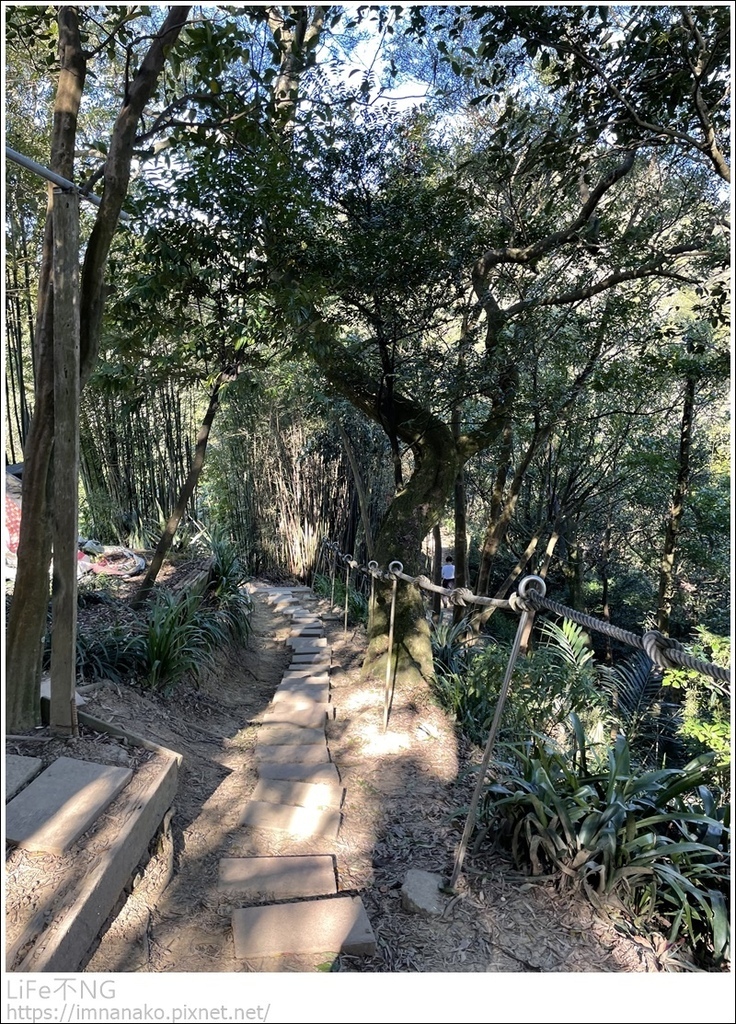 IMG_6743.JPG IMG_6743.JPG