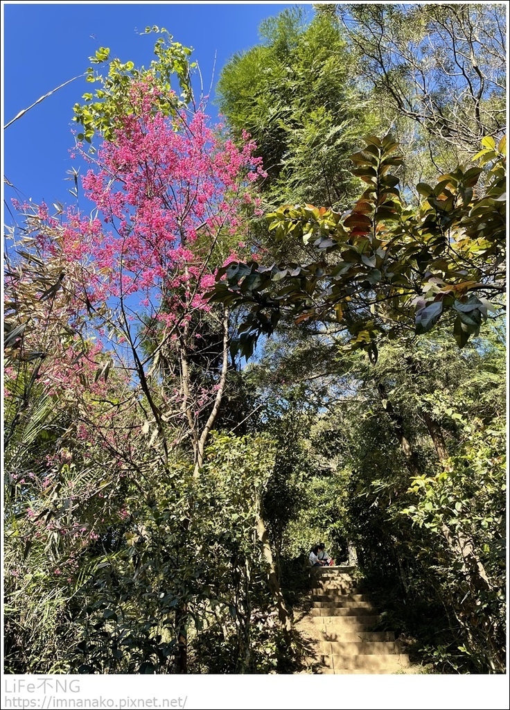 IMG_6744.JPG IMG_6744.JPG