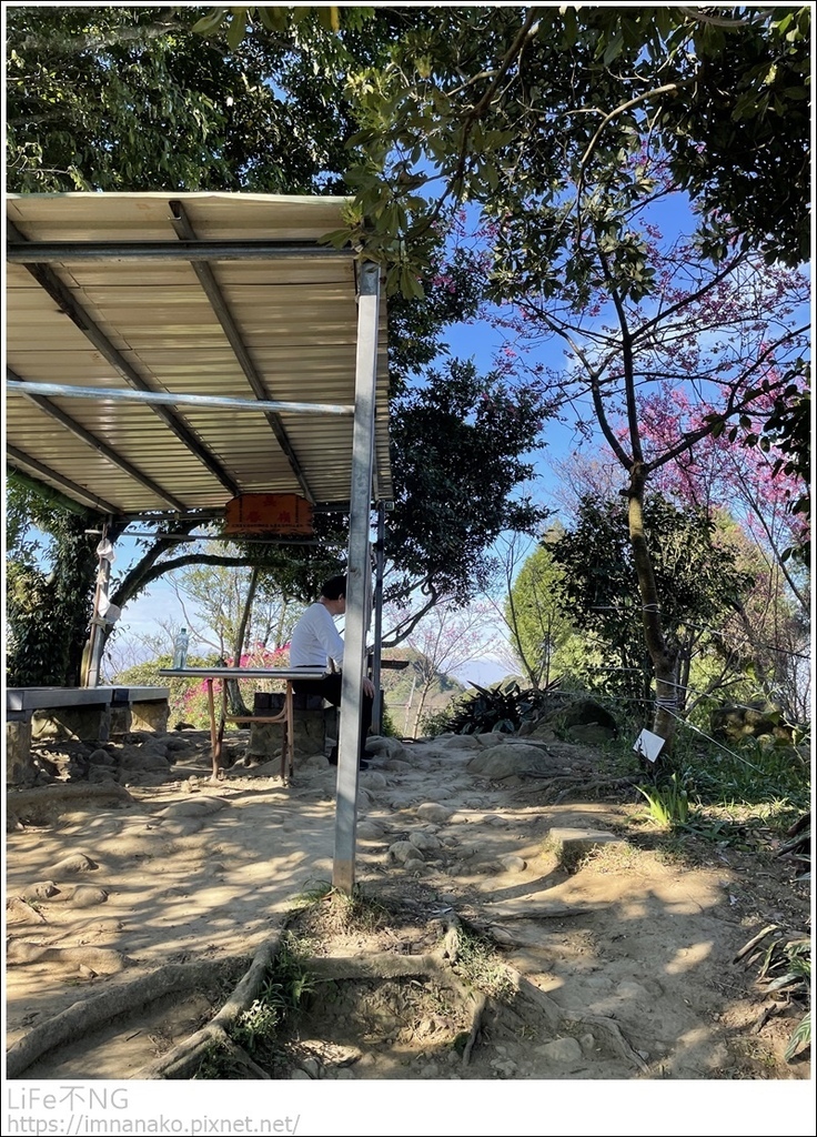 IMG_6745.JPG IMG_6745.JPG