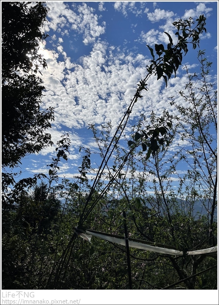 IMG_6755.JPG IMG_6755.JPG