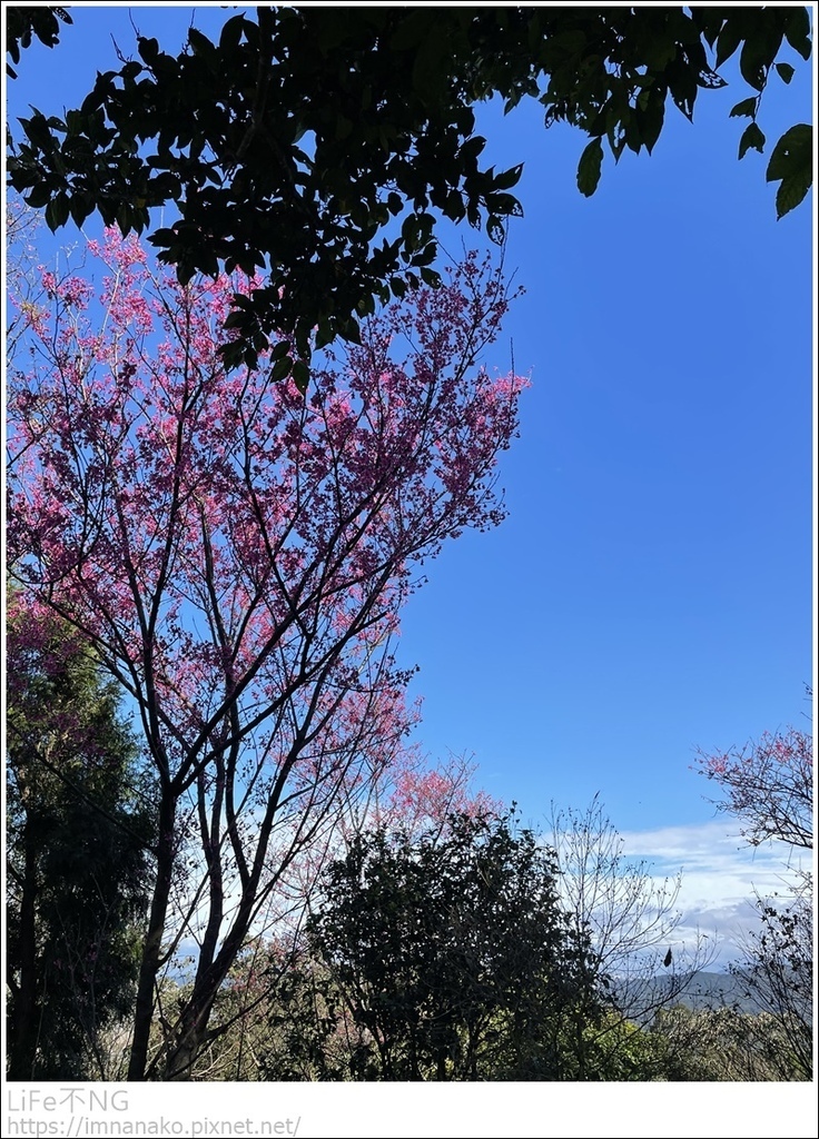 IMG_6749.JPG IMG_6749.JPG