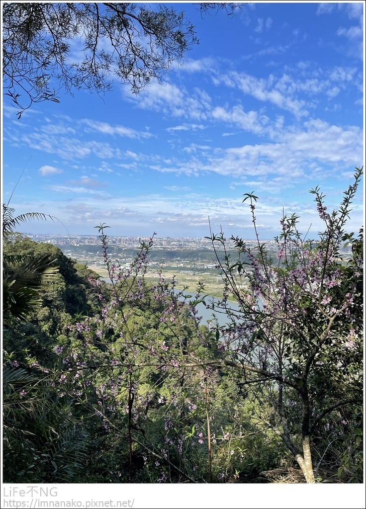 IMG_6784.JPG IMG_6784.JPG