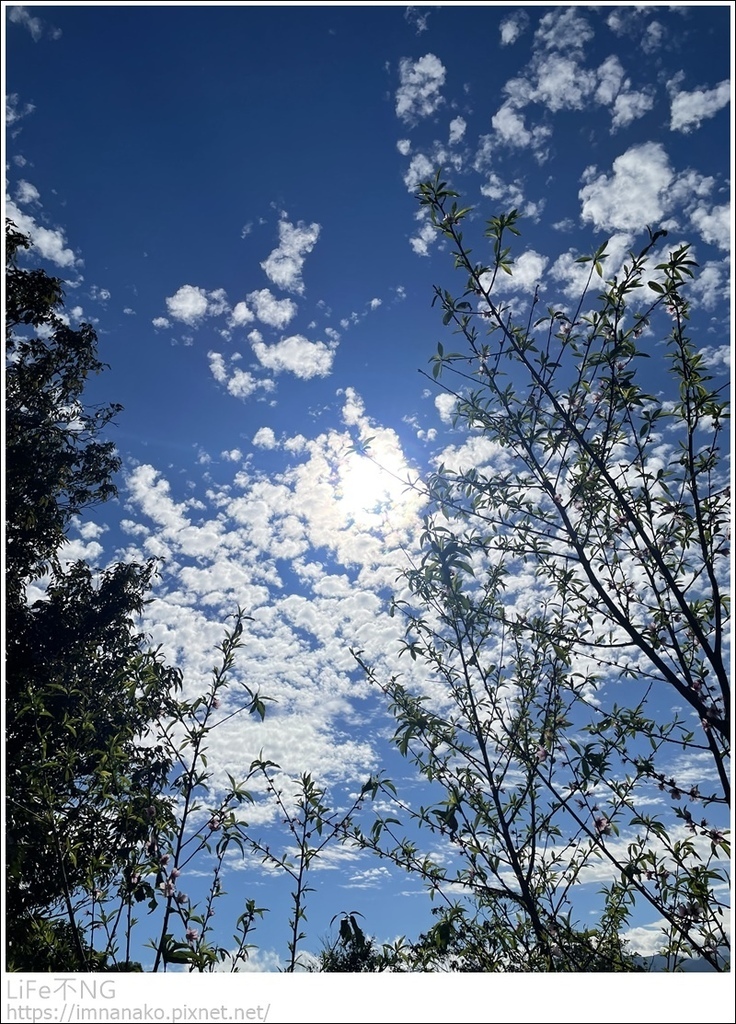 IMG_6781.JPG IMG_6781.JPG