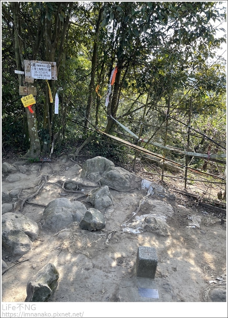 IMG_6782.JPG IMG_6782.JPG