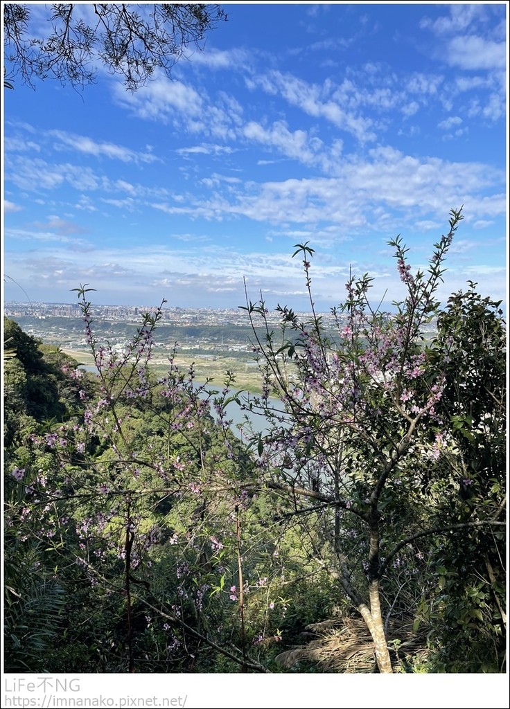 IMG_6785.JPG IMG_6785.JPG