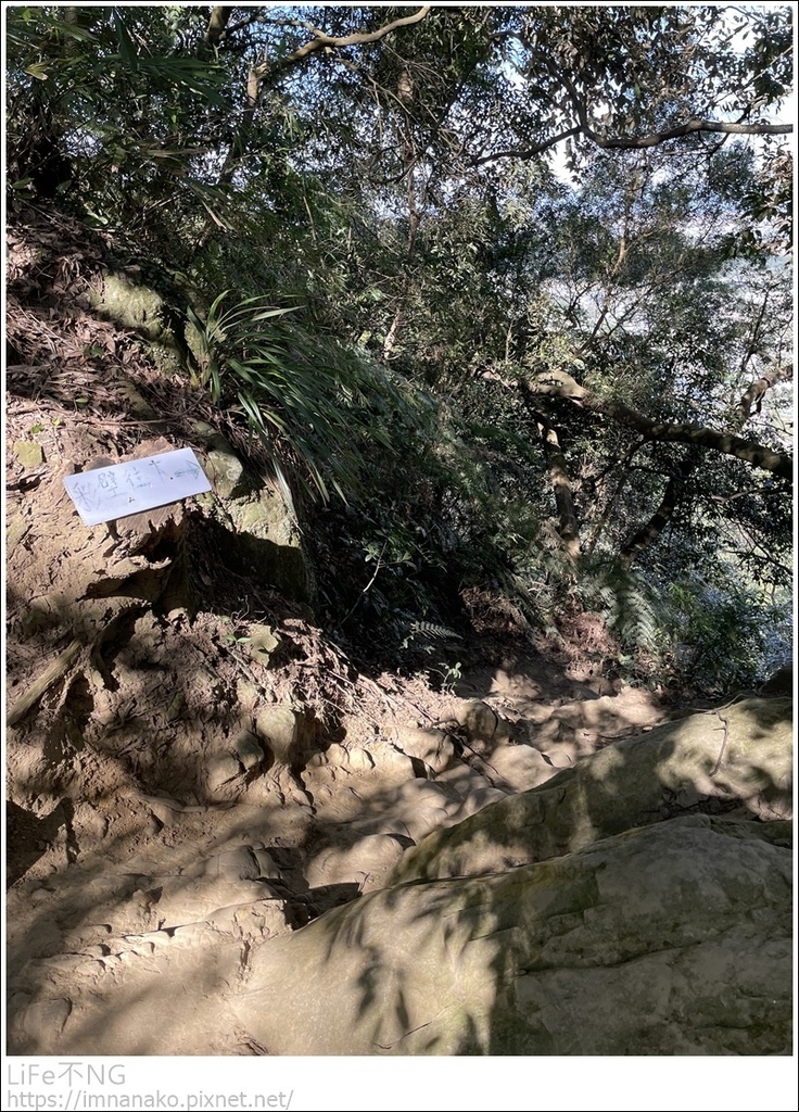 IMG_6788.JPG IMG_6788.JPG