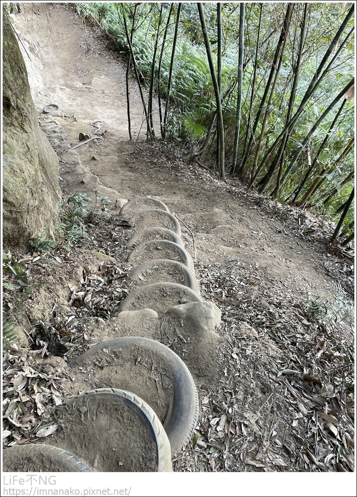 IMG_6790.JPG IMG_6790.JPG