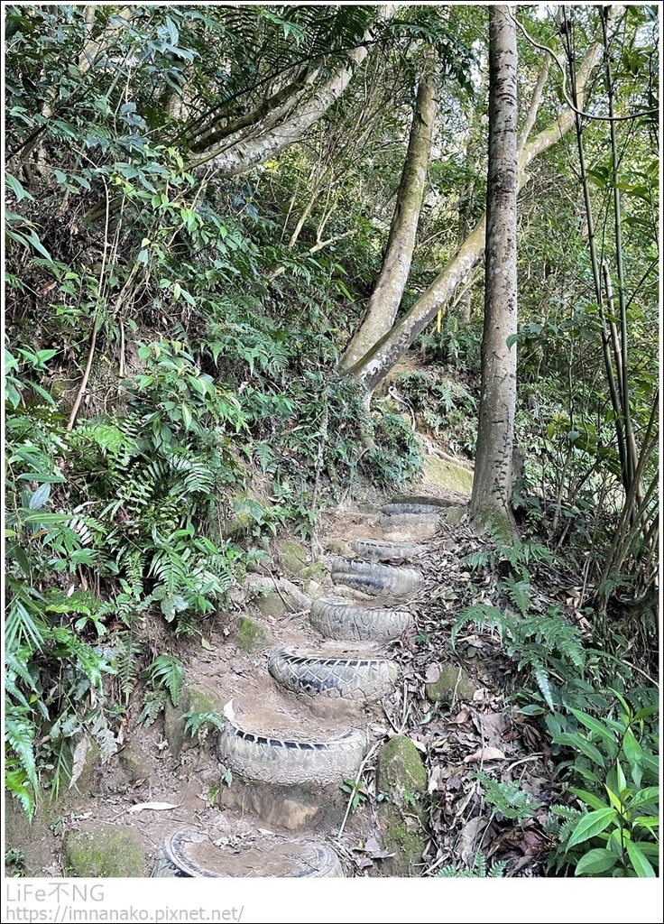 IMG_6811.JPG IMG_6811.JPG