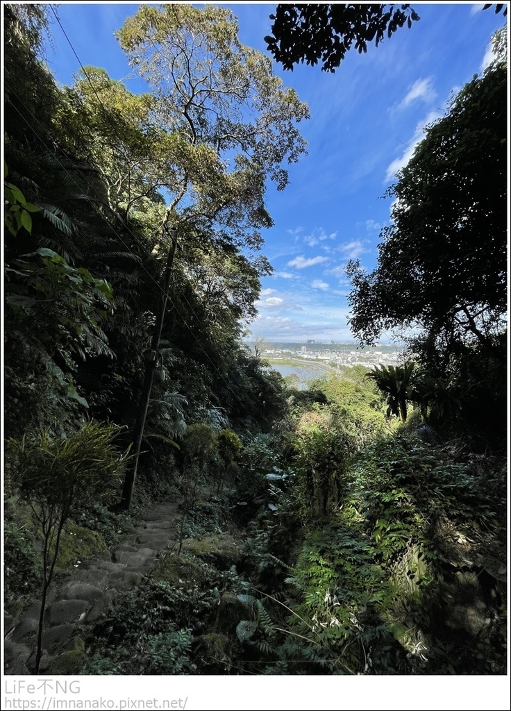 IMG_6822.JPG IMG_6822.JPG