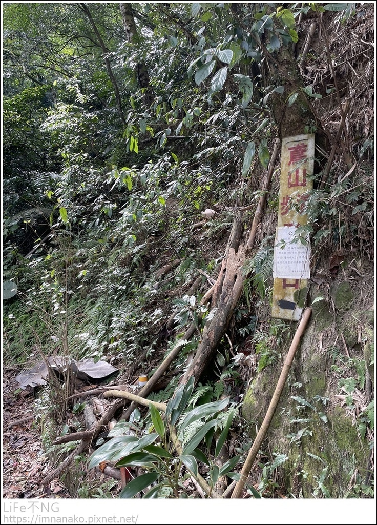 IMG_6834.JPG IMG_6834.JPG