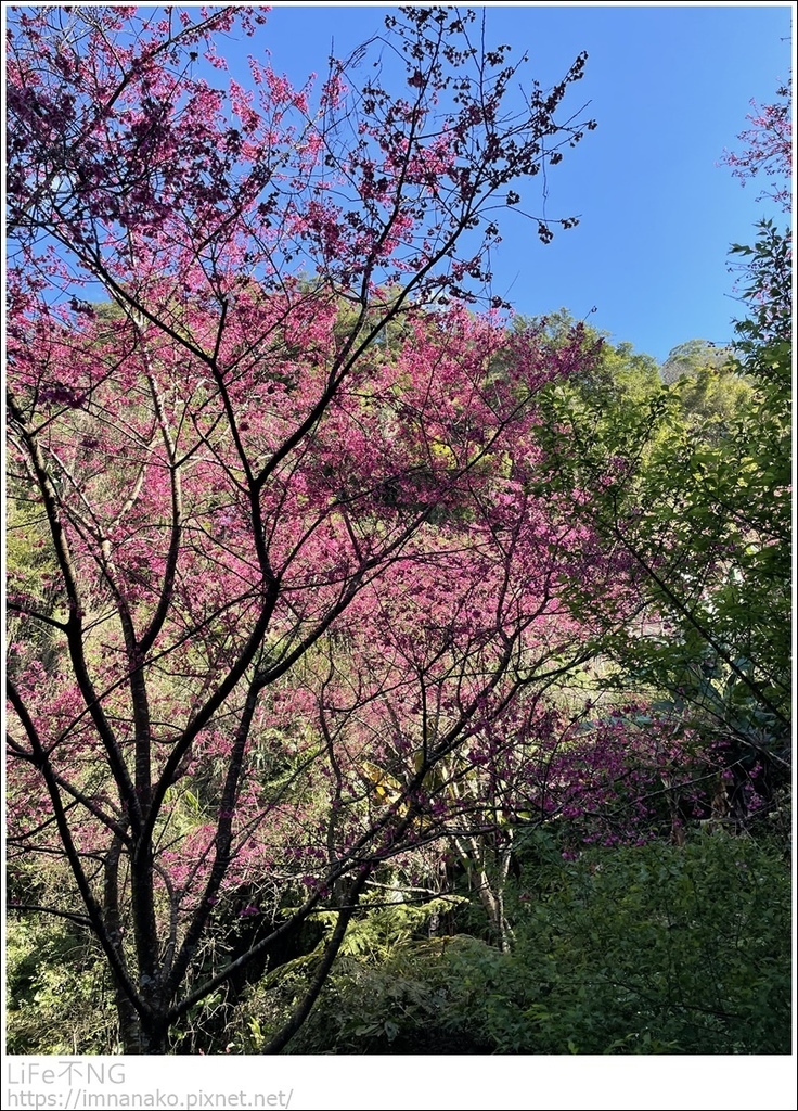 IMG_6818.JPG IMG_6818.JPG