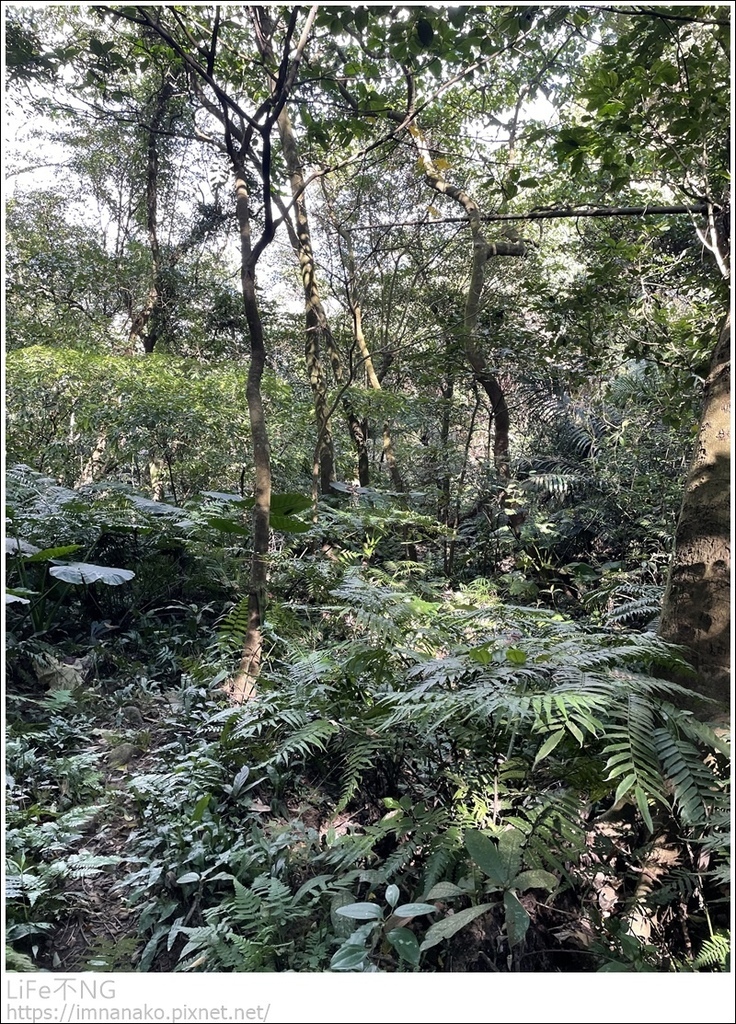 IMG_6836.JPG IMG_6836.JPG