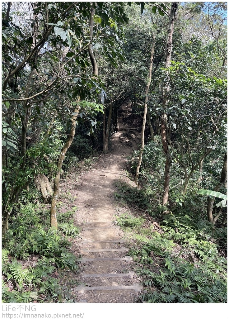 IMG_6840.JPG IMG_6840.JPG