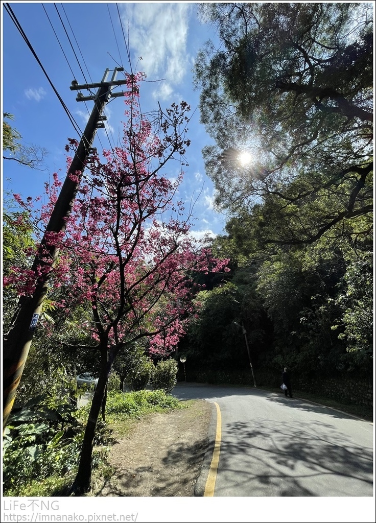 IMG_6860.JPG IMG_6860.JPG