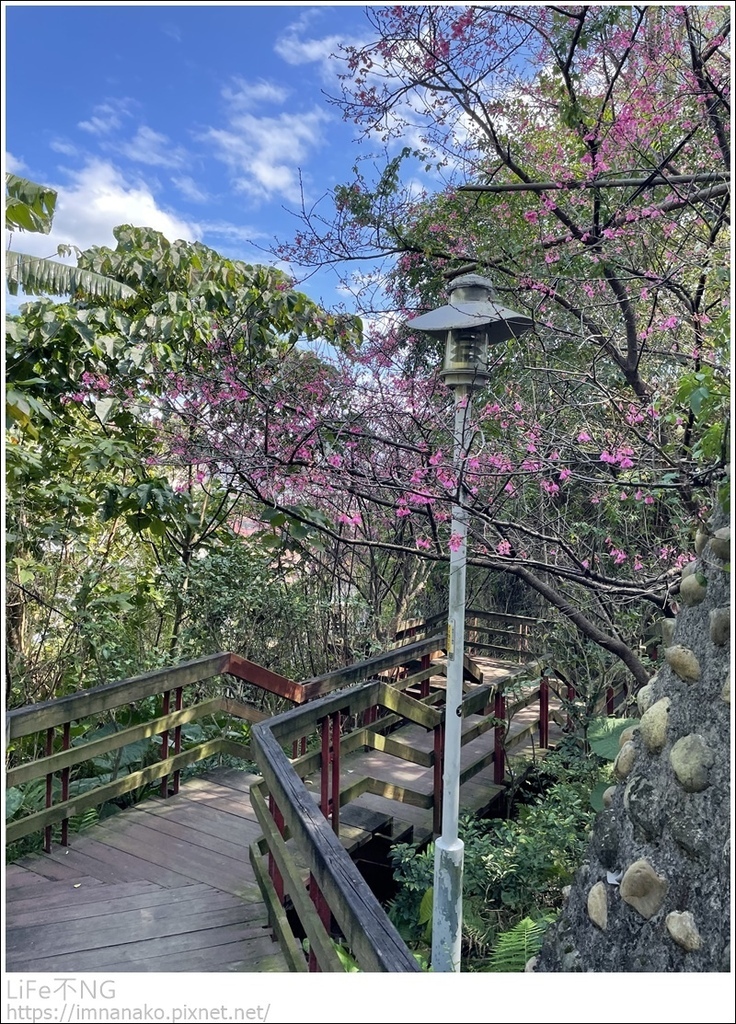 IMG_6861.JPG IMG_6861.JPG