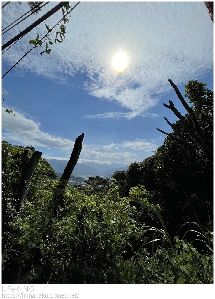 IMG_6851.JPG IMG_6851.JPG