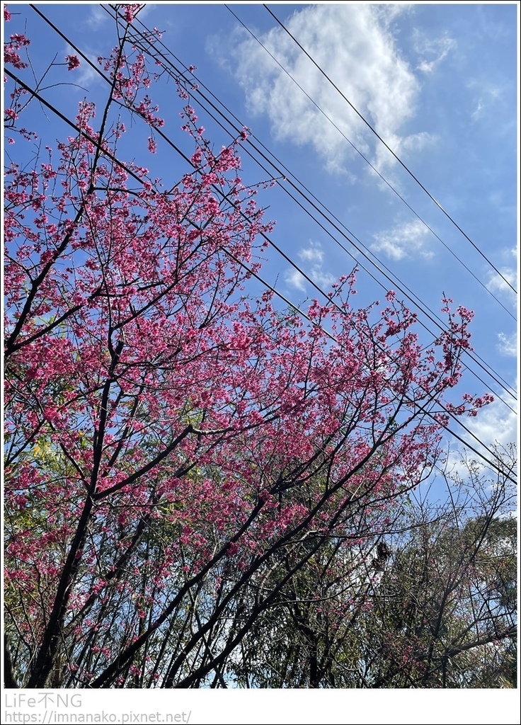 IMG_6858.JPG IMG_6858.JPG