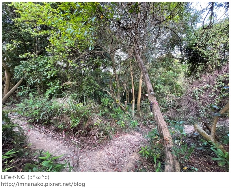 爬山_210315_77.jpg 爬山_210315_77.jpg