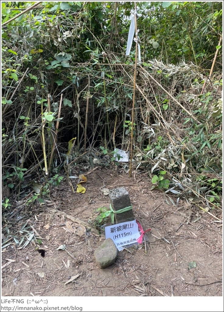 爬山_210315_78.jpg 爬山_210315_78.jpg