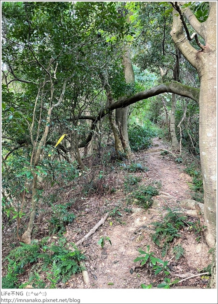 爬山_210315_76.jpg 爬山_210315_76.jpg