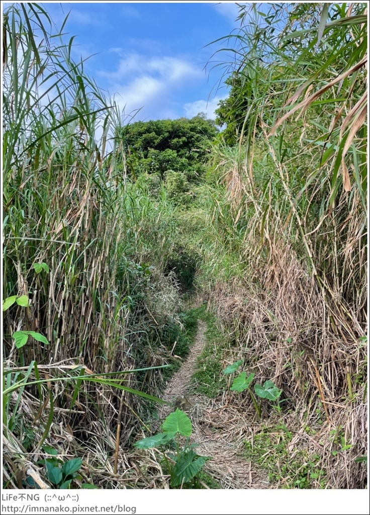 爬山_210315_79.jpg 爬山_210315_79.jpg