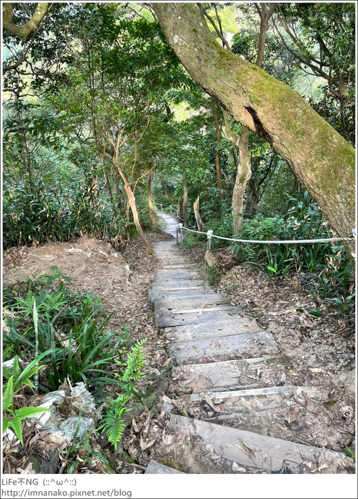 爬山_210315_90.jpg 爬山_210315_90.jpg