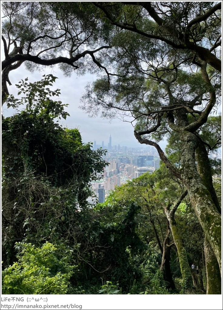 爬山_210315_84.jpg 爬山_210315_84.jpg