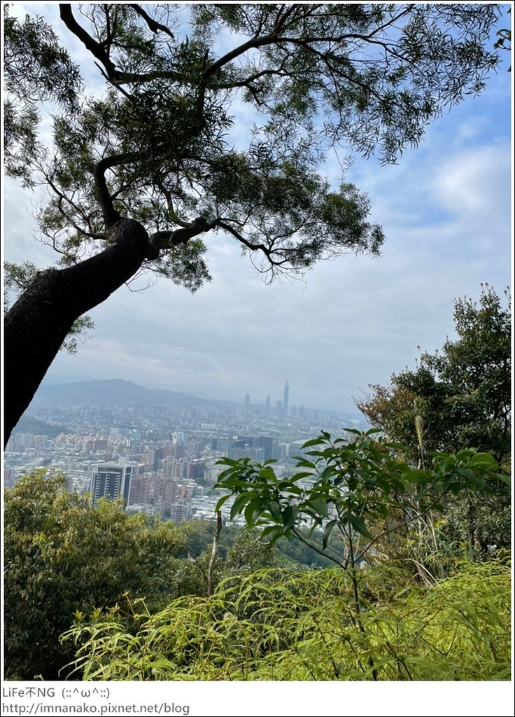 爬山_210315_87.jpg 爬山_210315_87.jpg