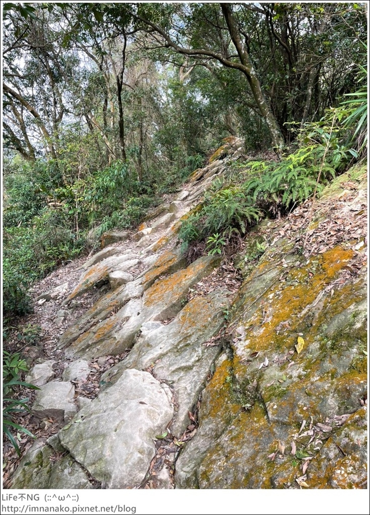 爬山_210315_94.jpg 爬山_210315_94.jpg