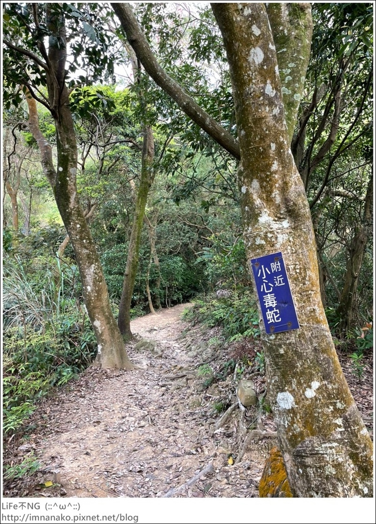 爬山_210315_98.jpg 爬山_210315_98.jpg