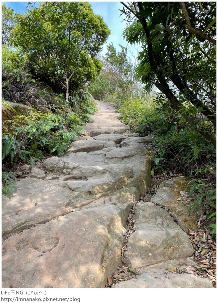 爬山_210315_99.jpg 爬山_210315_99.jpg