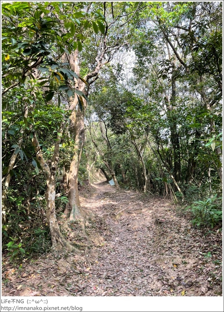 爬山_210315_108.jpg 爬山_210315_108.jpg