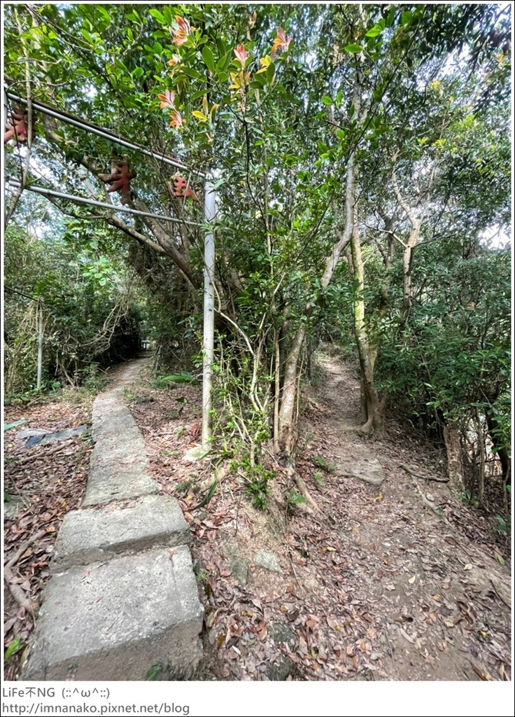 爬山_210315_111.jpg 爬山_210315_111.jpg