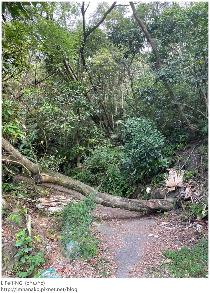 爬山_210315_113.jpg 爬山_210315_113.jpg