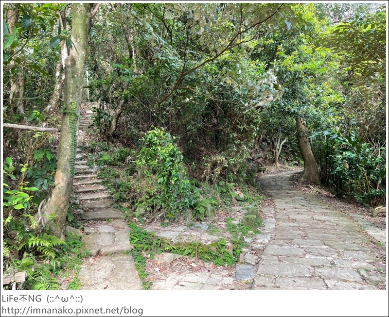 爬山_210315_110.jpg 爬山_210315_110.jpg