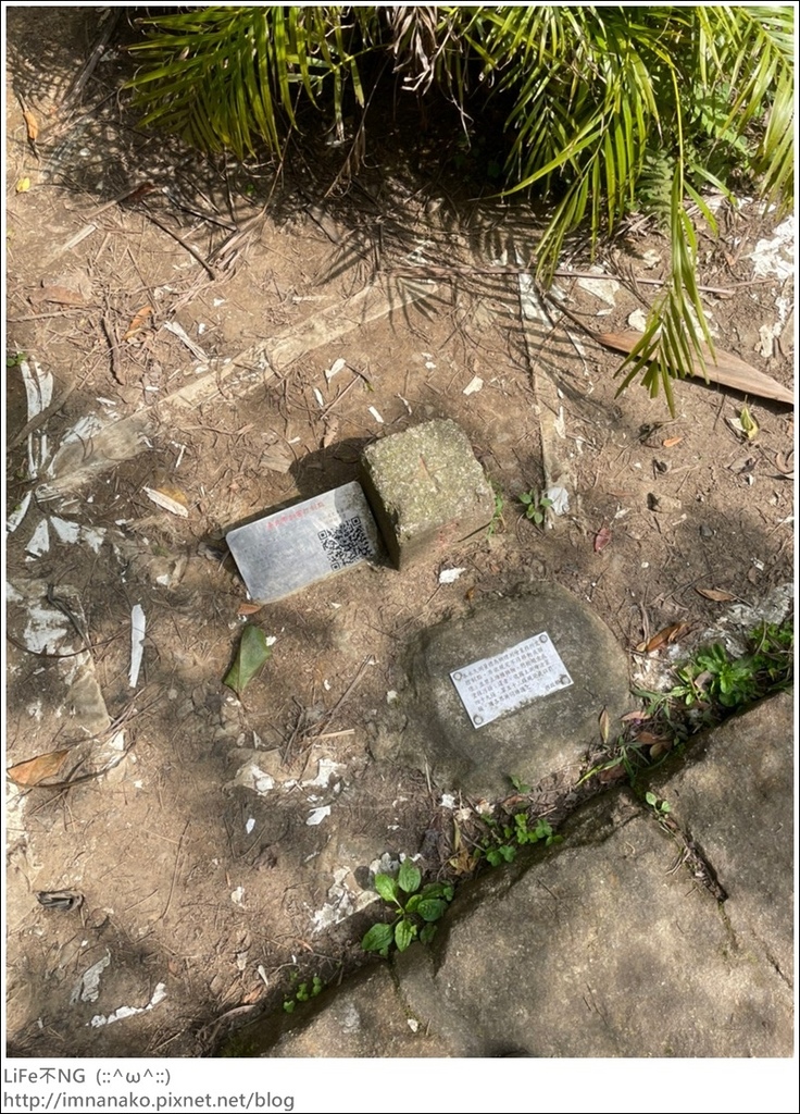 爬山_210315_116.jpg 爬山_210315_116.jpg