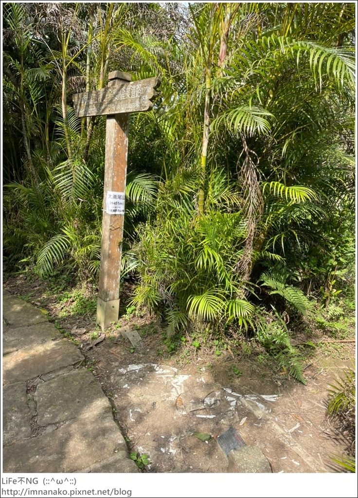 爬山_210315_118.jpg 爬山_210315_118.jpg