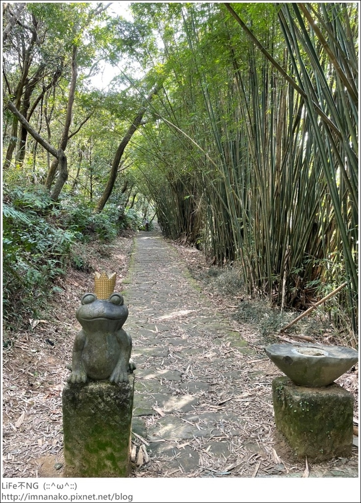 爬山_210315_122.jpg 爬山_210315_122.jpg