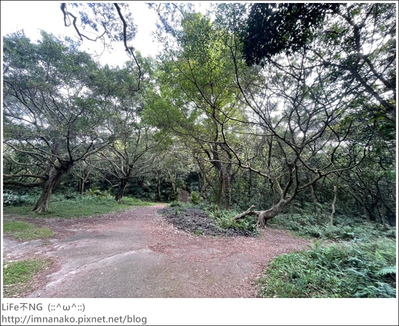 爬山_210315_115.jpg 爬山_210315_115.jpg