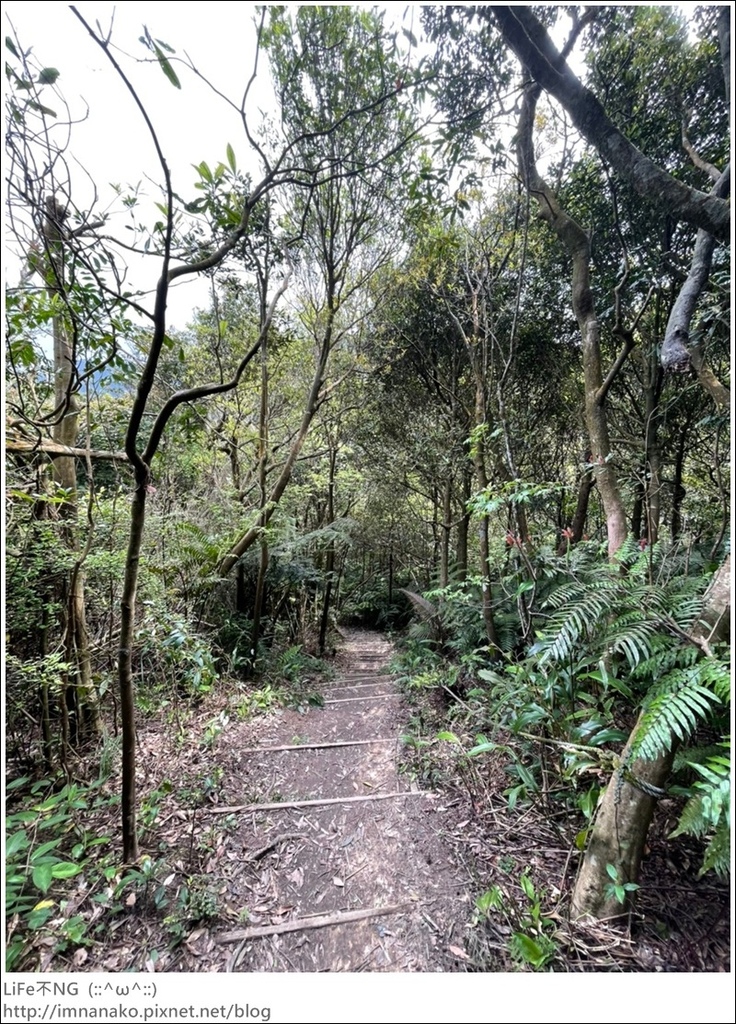 爬山_210315_133.jpg 爬山_210315_133.jpg