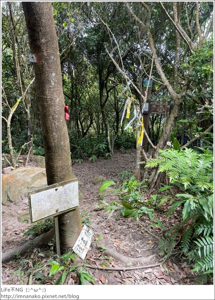 爬山_210315_132.jpg 爬山_210315_132.jpg