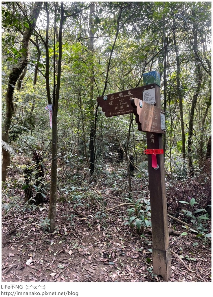 爬山_210315_134.jpg 爬山_210315_134.jpg