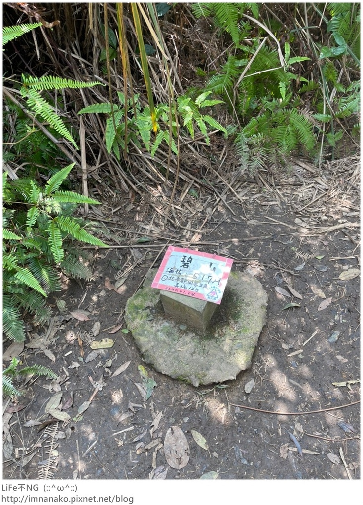 爬山_210315_138.jpg 爬山_210315_138.jpg