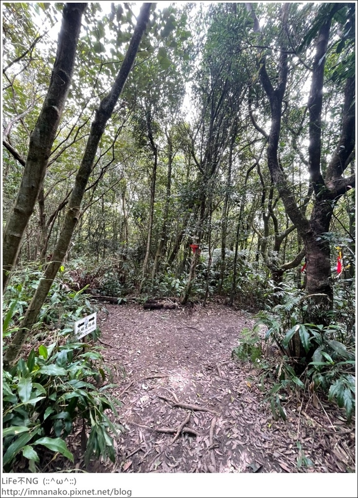 爬山_210315_135.jpg 爬山_210315_135.jpg